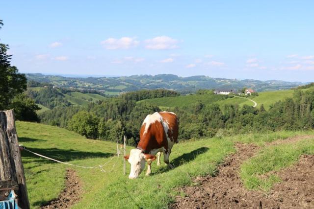 Serschenhof- Auszeit Ueber Dem Stall Leutschach Zewnętrze zdjęcie